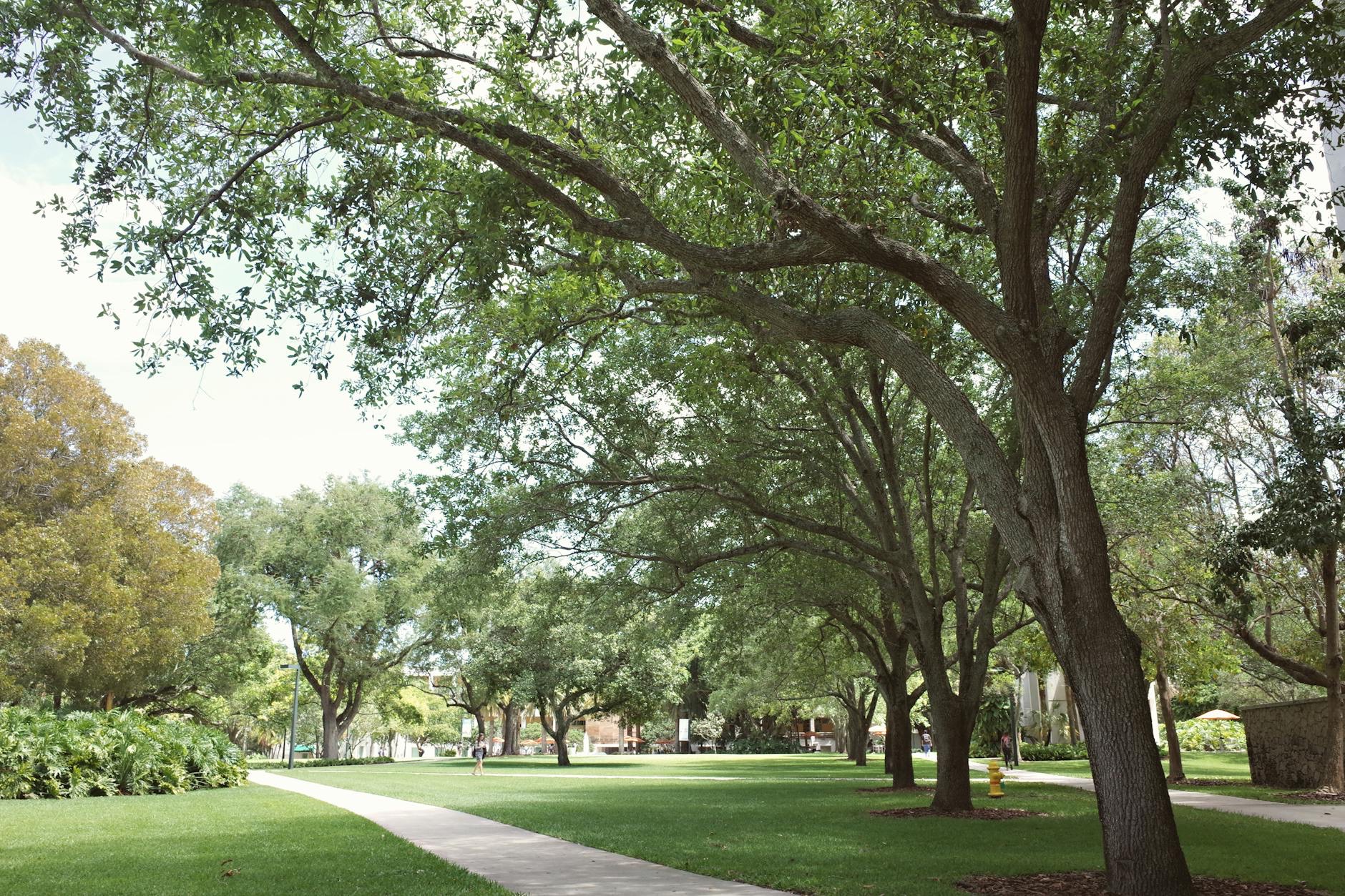 Students walk across a college campus as families weigh loan costs, digital learning security and degree value.