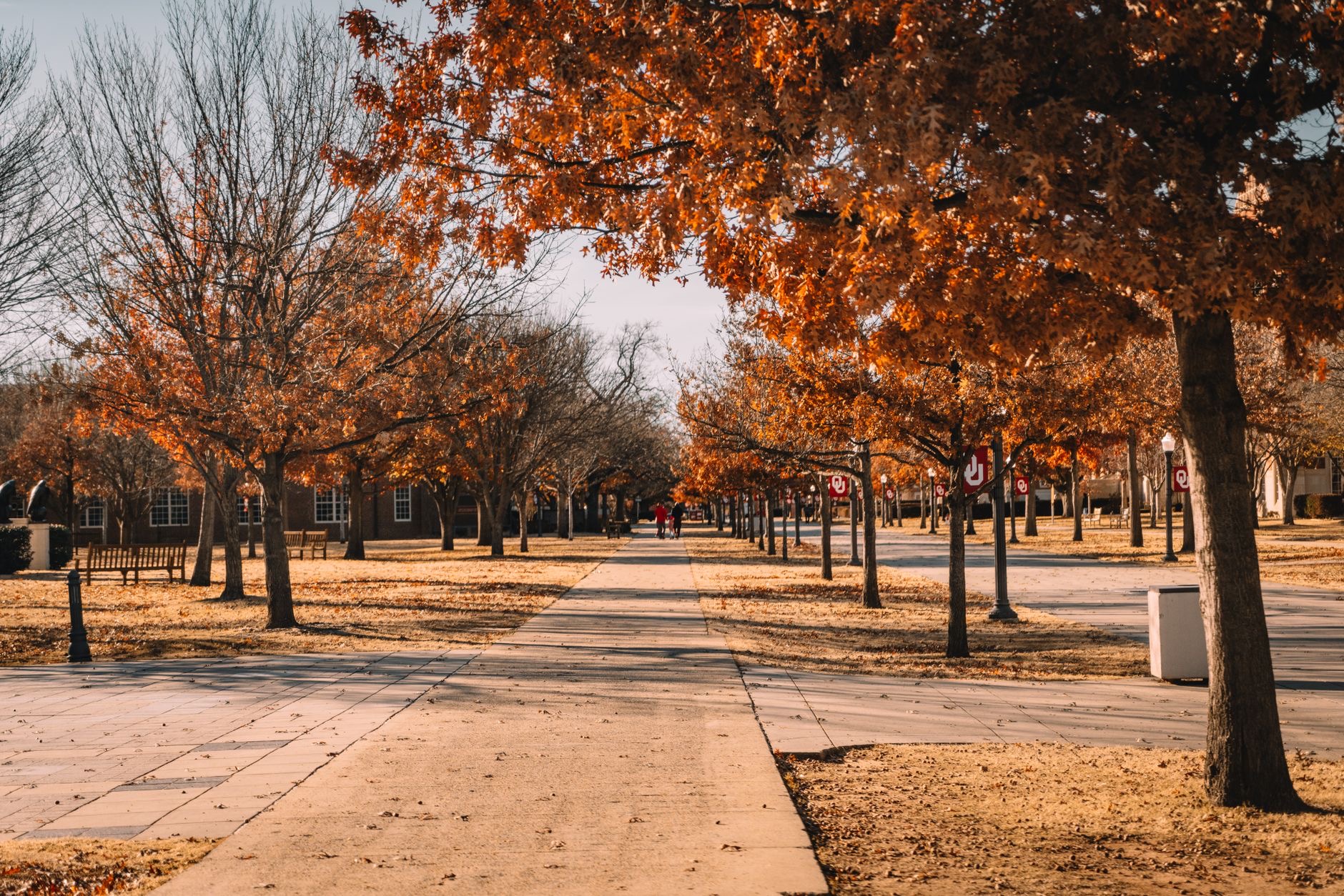 Students walk across a Georgia college campus as the state confronts nearly $11 billion in defaulted federal student loans.